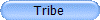 Tribe