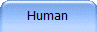 Human