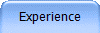 Experience
